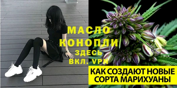 шишки Нефтегорск