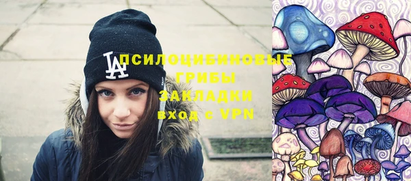 шишки Нефтегорск