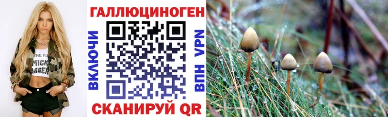 ОМГ ОМГ рабочий сайт  Новопавловск  Галлюциногенные грибы ЛСД 